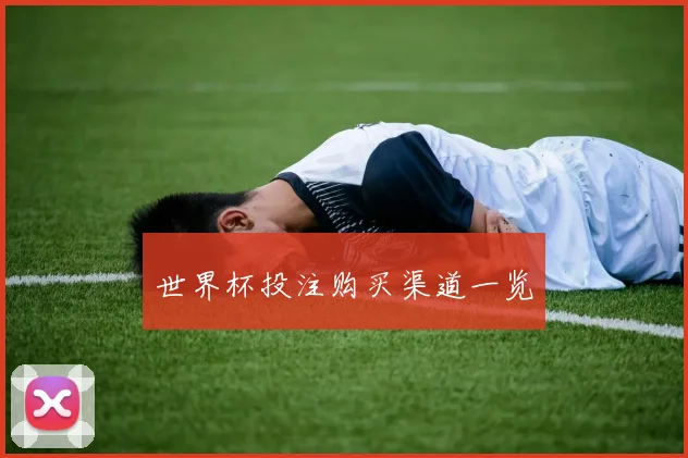 世界杯投注购买渠道一览