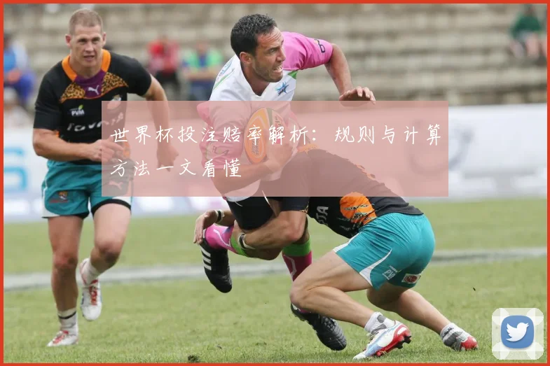 世界杯投注赔率解析：规则与计算方法一文看懂
