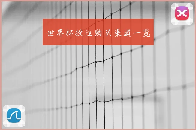 世界杯投注购买渠道一览