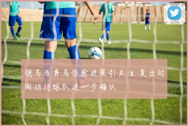 德乌洛费乌伤愈进展引关注 复出时间仍待球队进一步确认