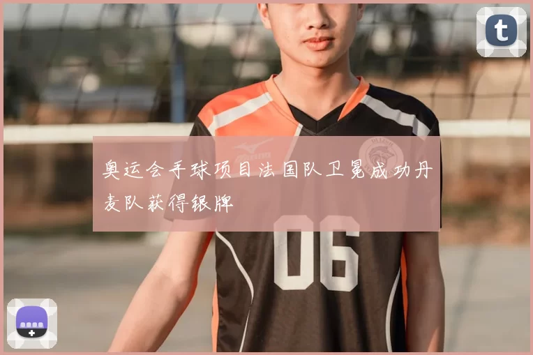 奥运会手球项目法国队卫冕成功丹麦队获得银牌