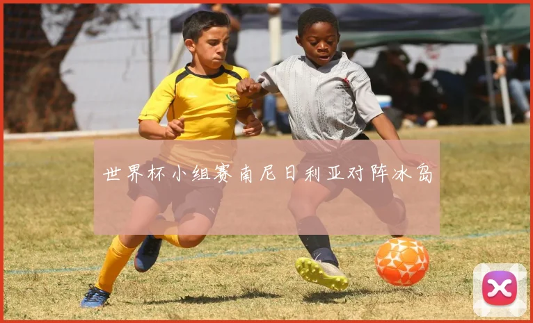 世界杯小组赛南尼日利亚对阵冰岛