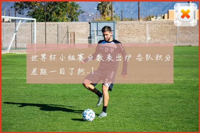 世界杯小组赛分数表出炉 各队积分差距一目了然_1