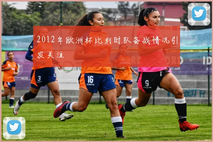 2012年欧洲杯比利时队备战情况引发关注