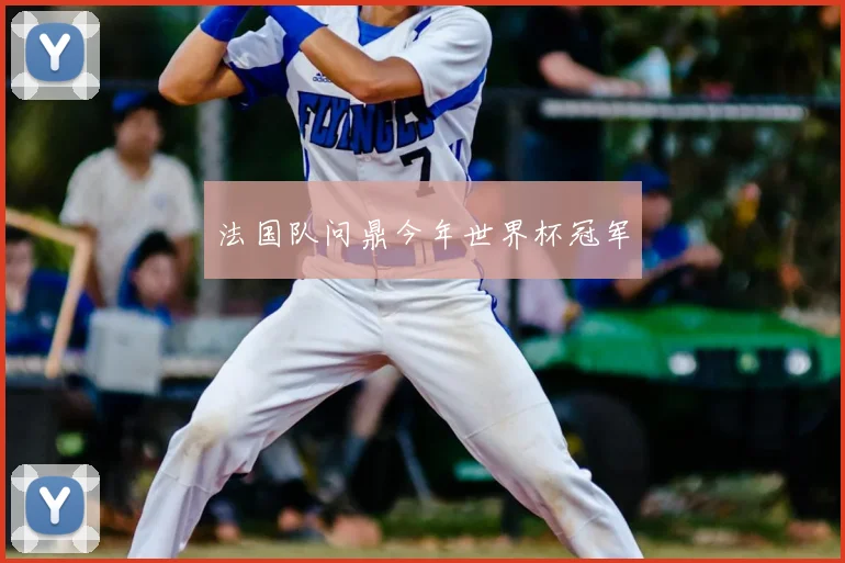 法国队问鼎今年世界杯冠军
