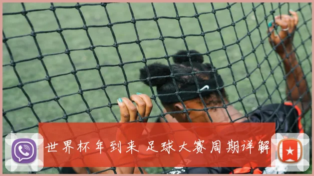 世界杯年到来 足球大赛周期详解
