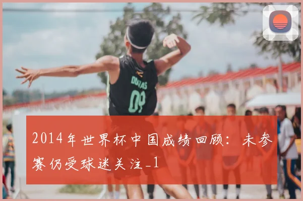2014年世界杯中国成绩回顾：未参赛仍受球迷关注_1