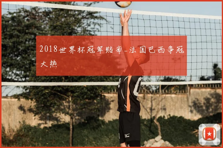 2018世界杯冠军赔率_法国巴西争冠大热